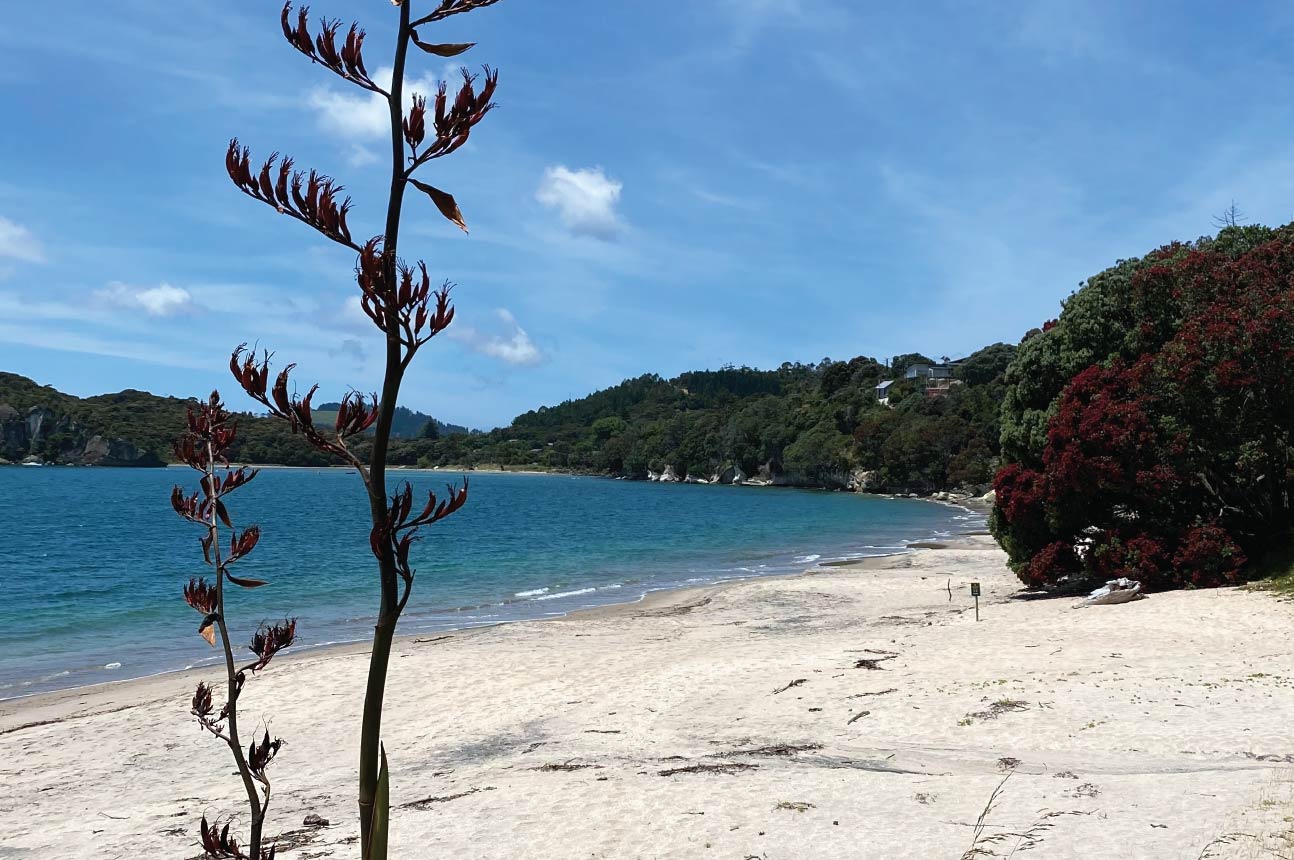 Beach Weddings_Front Beach