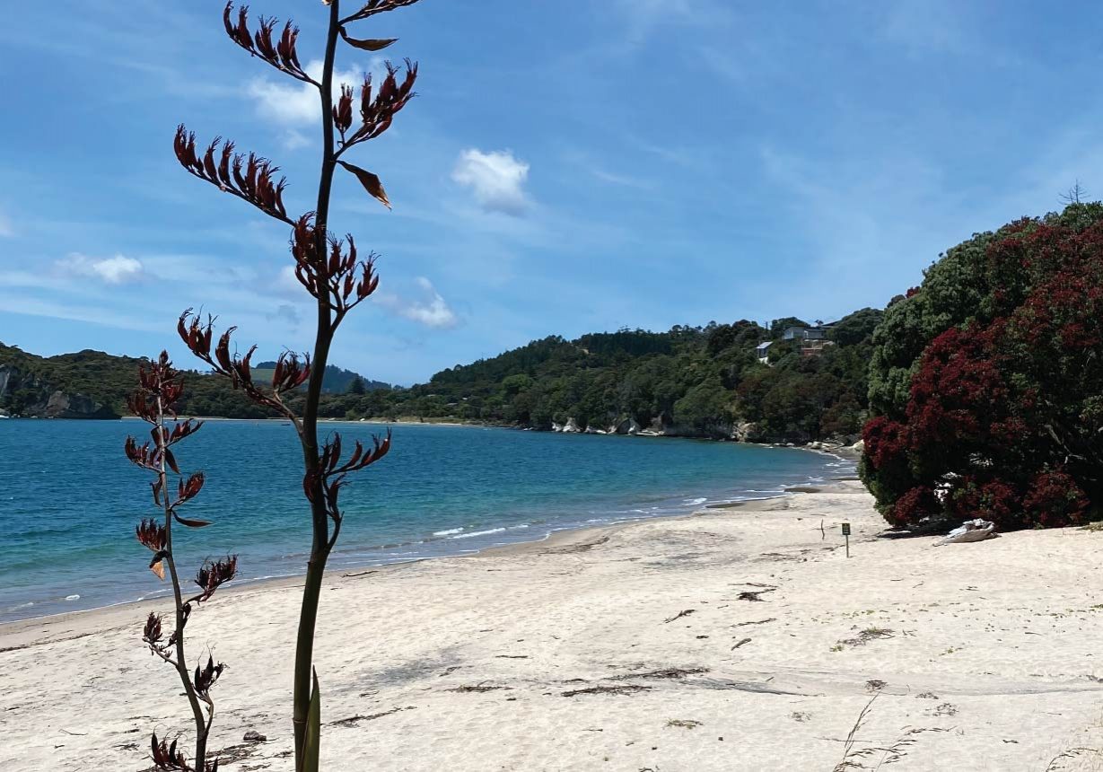 Beach Weddings_Front Beach